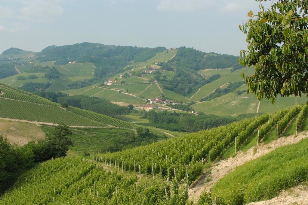 Agriturismo I Grappoli Serralunga d'Alba Zimmer foto